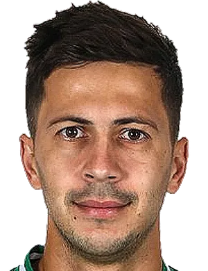 https://img.pepiancai.com/img/football/player/a7521cae3d55835286cc258209d1ffee.png